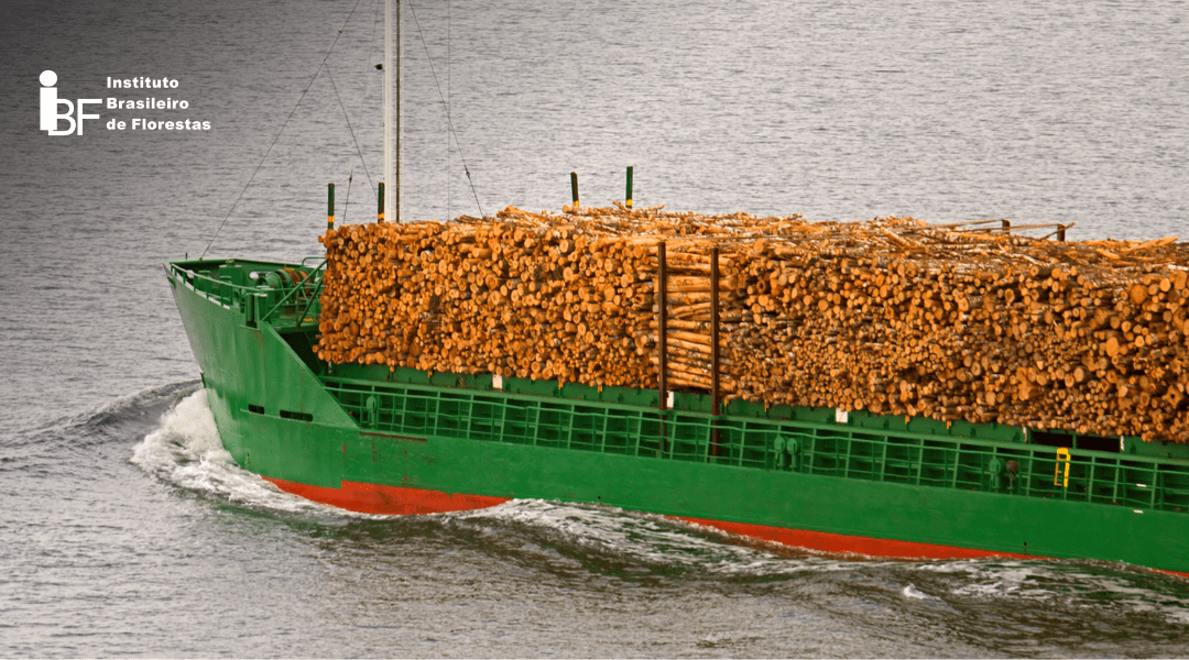 Exportação da madeira dura tropical: o que esperar?