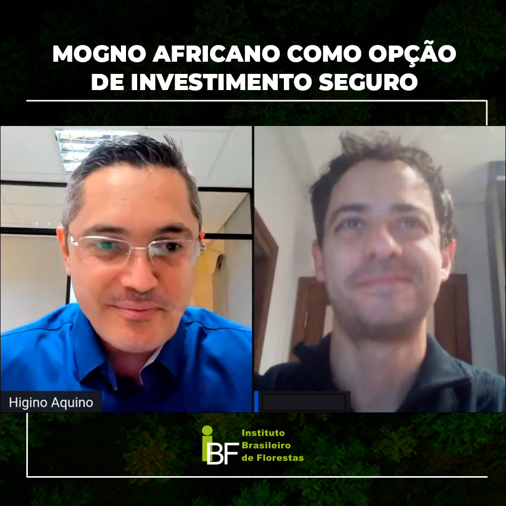 entrevista-com-andre-barral-investidor-do-polo-florestal-ibf