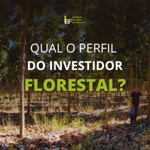 podcast-qual-o-perfil-do-investidor-florestal
