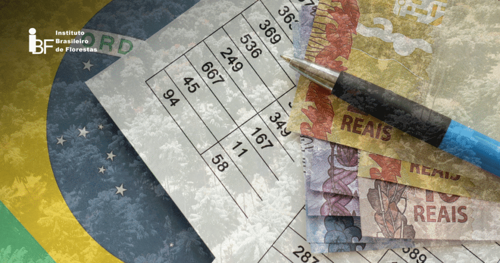 ARTIGO-IBF-ALTA-SELIC-980x516