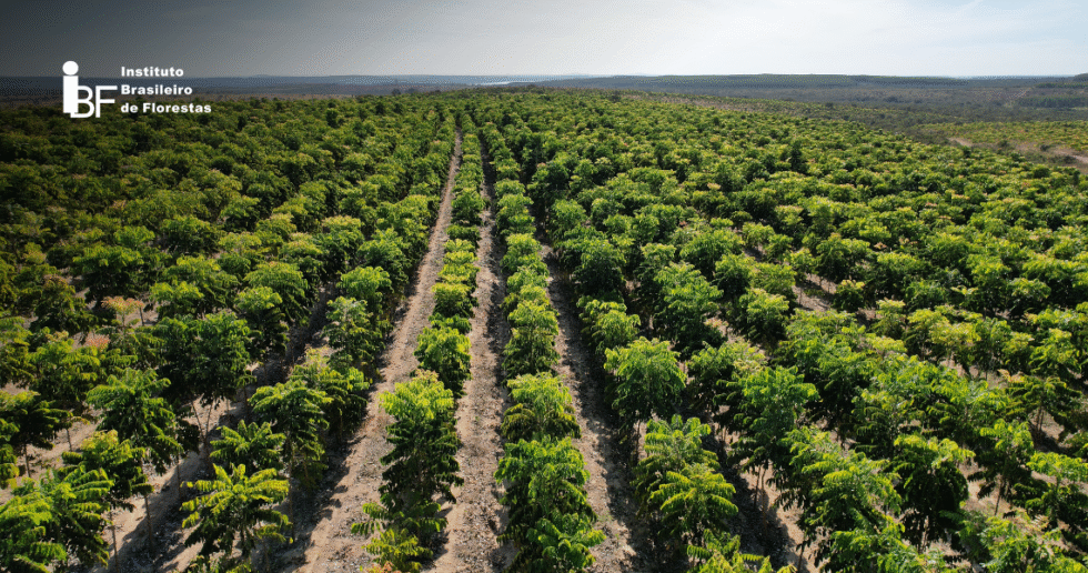 helix-artigo-980x516